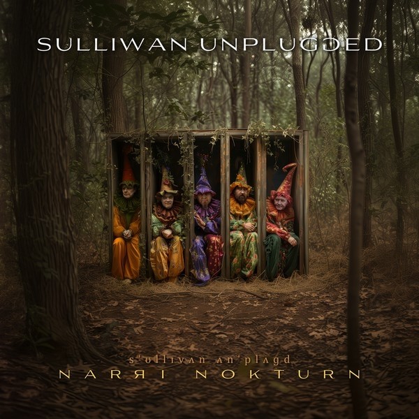 Sulliwan Unplugged - Narri nokturn (2024) (Vinüül)