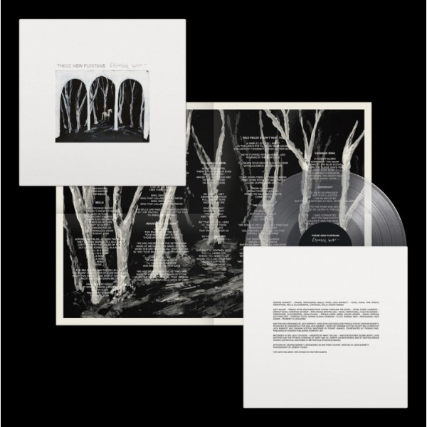 These New Puritans - Crooked Wing (2025) (Clear Vinyl)