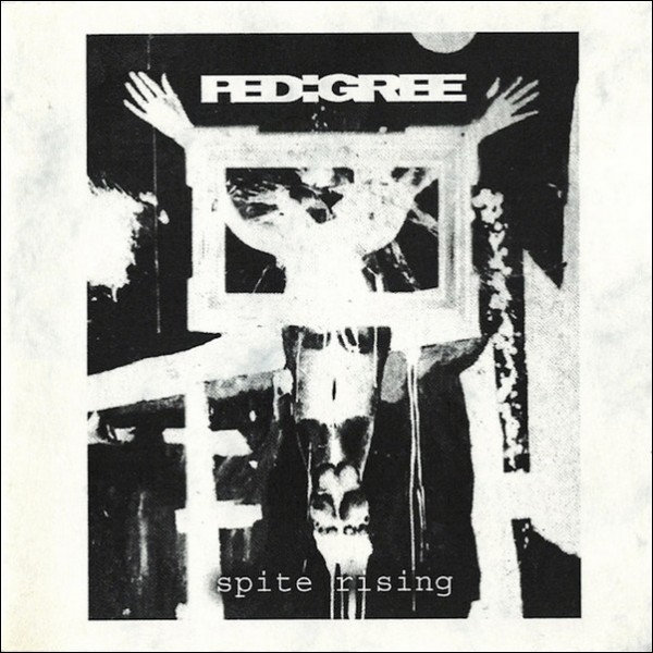 Pedigree - Spite Rising (2000) (Hõbedane/must vinüül)