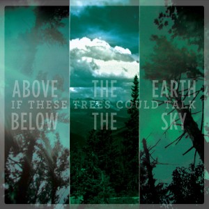 If These Trees Could Talk - Above The Earth, Below The Sky (CD)