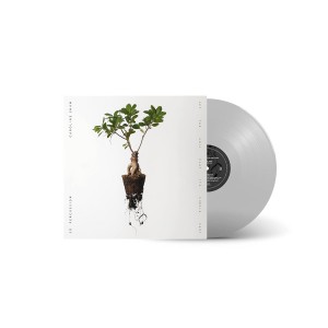 Caroline Shaw & So Percussion - Let The Soil Play Its Simple Part (Clear Vinyl)