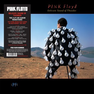 PINK FLOYD-DELICATE SOUND OF THUNDER (2x VINYL)