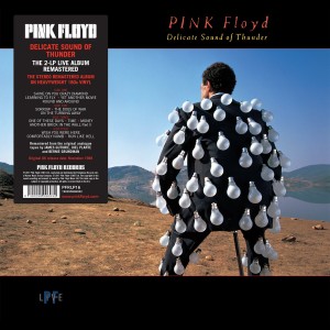 Pink Floyd - Delicate Sound Of Thunder (2x Vinyl)