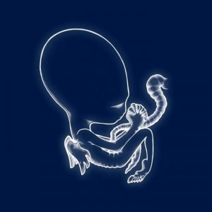 SIGUR ROS-AGAETIS BYRJUN (VINYL) (LP)