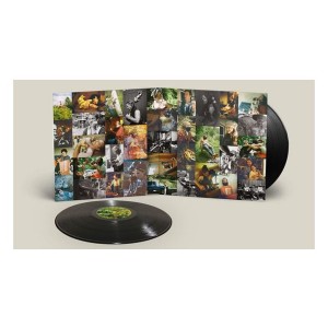Big Thief - Dragon New Warm Mountain I Believe In You (Vinyl)