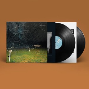 Yo La Tengo - This Stupid World (2x Vinyl)
