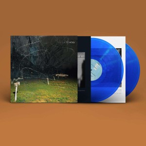 YO LA TENGO-THIS STUPID WORLD (TRANSPARENT BLUE VINYL)