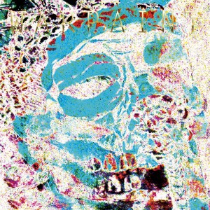 Warpaint - The Fool (Andrew Weatherall Mixes) (RSD 2021) (Vinyl)