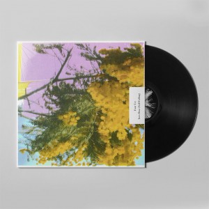 Four Tet - Into Dust (Still Falling) (2025) (12-inch)