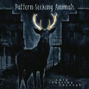 PATTERN-SEEKING ANIMALS-ONLY PASSING THROUGH