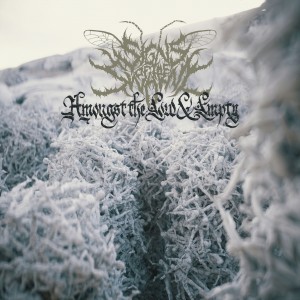 Signs Of The Swarm - Amongst The Low & Empty (Vinyl)