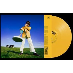 DECLAN MCKENNA-WHAT HAPPENED TO THE BEACH? (YELLOW VINYL)