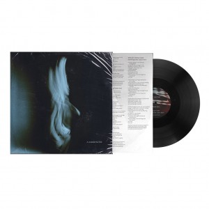 Tom Odell - A Wonderful Life (2025) (Vinyl)