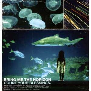 BRING ME THE HORIZON-COUNT YOUR BLESSINGS (VINYL) (LP)