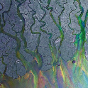 Alt-J - An Awesome Wave (2012) (Vinyl)