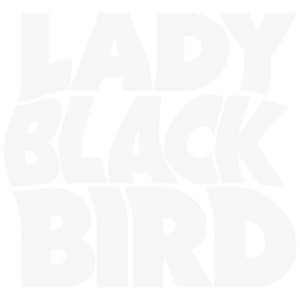 LADY BLACKBIRD-BLACK ACID SOUL (DELUXE EDITION) (2x VINYL)