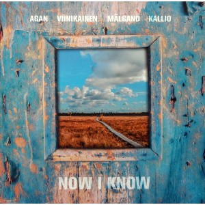 Ain Agan - Now I Know (2016) (Vinüül)