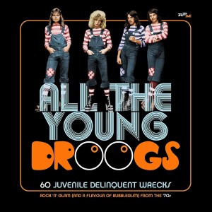 Various Artists - All The Young Droogs (CD)