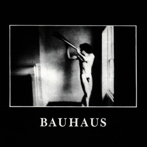 Bauhaus - In The Flat Field (CD)