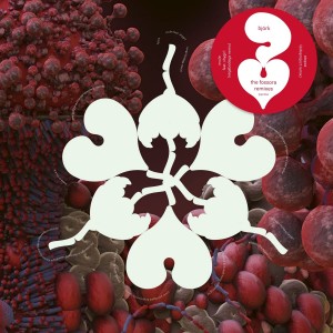 BJORK-FOSSORA REMIXES (RSD 2023)