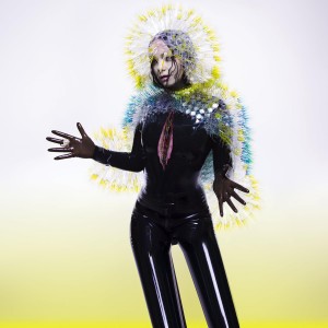 BJÖRK-VULNICURA (CD)