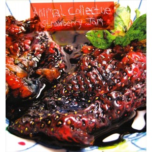 Animal Collective - Strawberry Jam