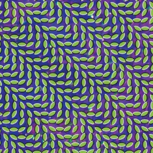 ANIMAL COLLECTIVE-MERRIWEATHER POST PAVILLION (VINYL)