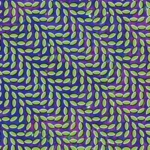 ANIMAL COLLECTIVE-MERRIWEATHER POST PAVILION