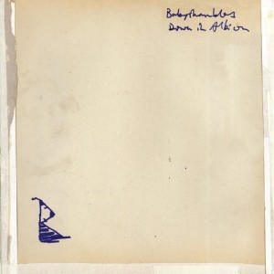 Babyshambles - Down In Albion (Vinyl)