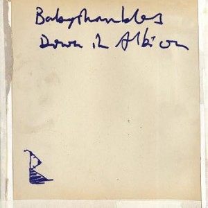 BABYSHAMBLES-DOWN IN ALBION