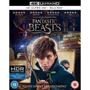 Fantastic Beasts And Where To Find Them (2016) (4K Ultra HD + Blu-ray)