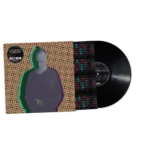 Fink - Beauty In Your Wake (Acoustic) (2025) (Vinyl)