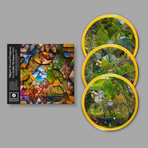 Miguel Atwood - Ferguson - Les Jardins Mystiques Vol. 1
