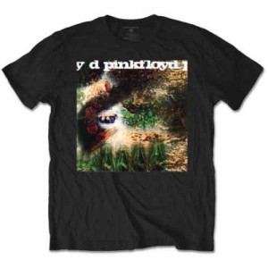 Pink Floyd Unisex T-Shirt: Saucer Full of Secrets (Black) (Large)
