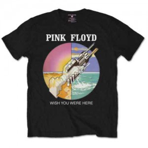 Pink Floyd Unisex T-Shirt: WYWH Circle Icons (Black) (XX-Large)