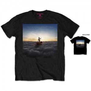 Pink Floyd Unisex T-Shirt: Endless River (Black) (Back Print) (Medium)