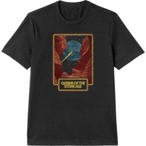 Queens Of The Stone Age Unisex T-Shirt: Canyon (Black) (XX-Large)