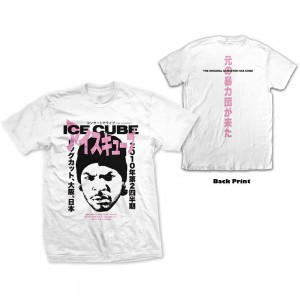 Ice Cube Unisex T-Shirt: Beanie Kanji (White) (Back Print) (X-Large)