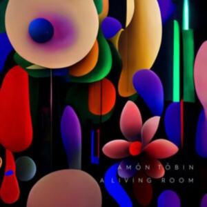 Amon Tobin - A Living Room (2022) (Vinyl)