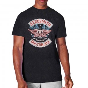 Aerosmith Unisex T-Shirt: Boston Pride (Black) (Wash Collection) (Large)