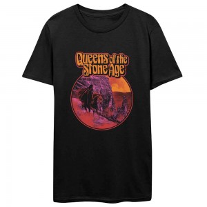 Queens Of The Stone Age Unisex T-Shirt: Hell Ride (Black) (Medium)