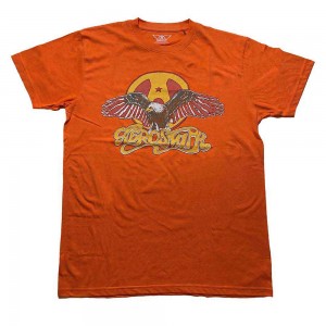 Aerosmith Unisex T-Shirt: Eagle (Orange) (Large)