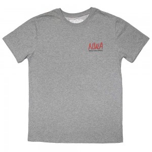 N.W.A Unisex T-Shirt: Mini Logo (Grey) (XX-Large)