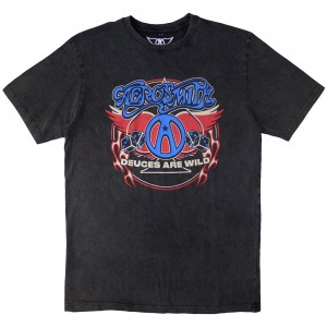 Aerosmith Unisex Stone Wash T-Shirt: Rainbow Spade (Charcoal Grey) (Small)