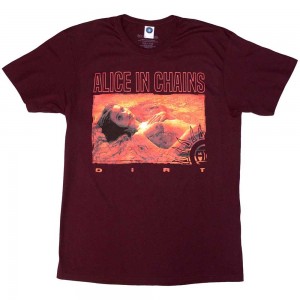 Alice In Chains Unisex T-Shirt: Dirt Orange (Maroon Red) (Small)