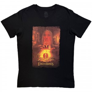 Lord Of The Rings Unisex T-Shirt: Saruman Homage (Black) (Large)