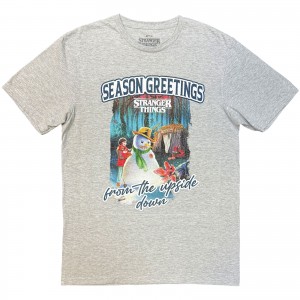 Stranger Things Unisex T-Shirt: Greetings (Grey) (Large)