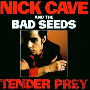 Nick Cave & The Bad Seeds - Tender Pray (1988) (CD)