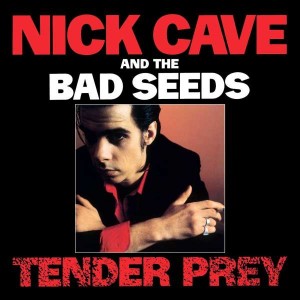 NICK CAVE & THE BAD SEEDS-TENDER PREY (VINYL)