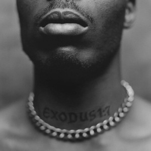 DMX-EXODUS